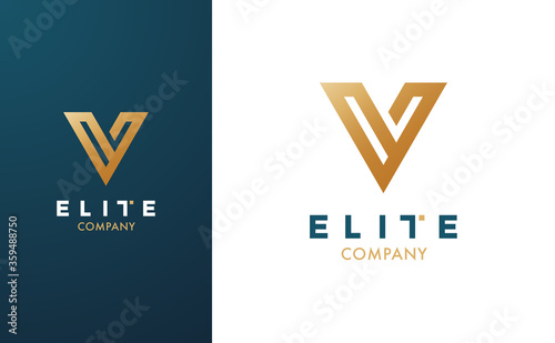 Premium Vector V Logo in two colour variations. Beautiful Logotype for luxury branding. Elegant and stylish design for your Elite company.