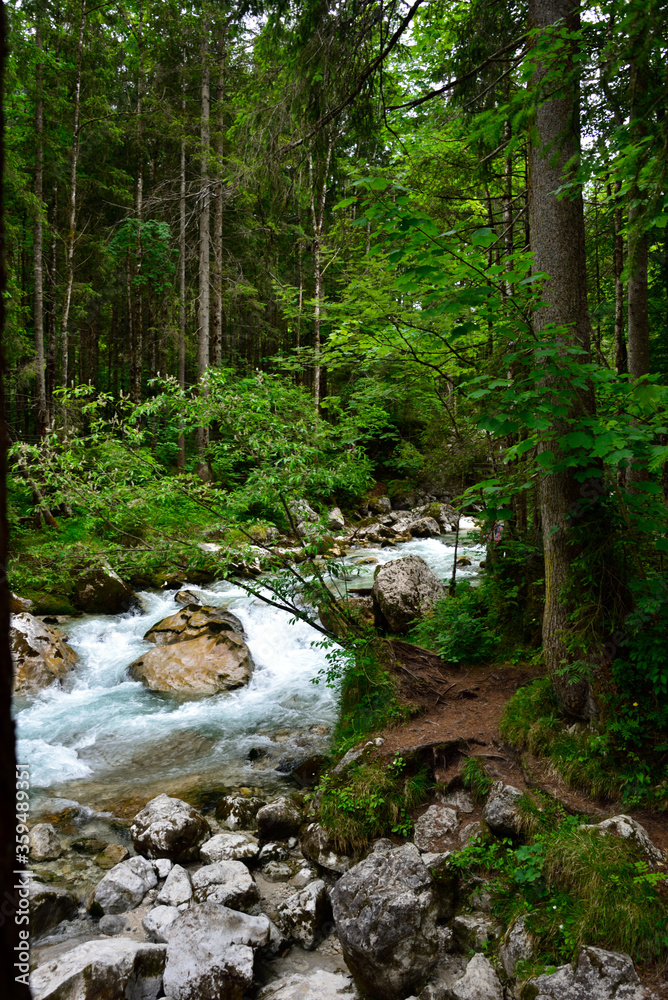 Fototapeta premium Bergbach Zauberwald