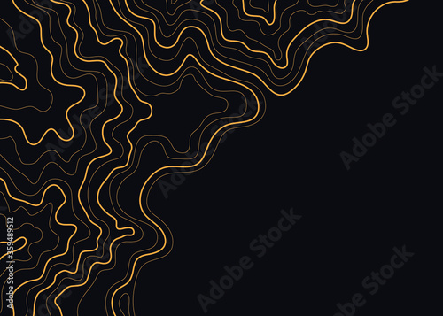 topographic map abstract height lines isolated on black background vector