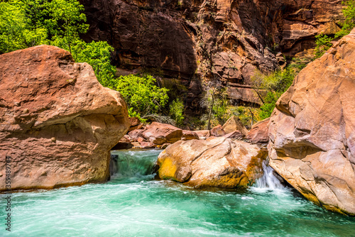 Virgin River entering the Narrows in Zion national park, Utah in springtime photo