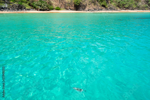 The Beautiful Background of the colourful turquoise clear water of Sancho Beach with fish underwater, at Fernando de Noronha Marine National Park, a Unesco World Heritage site, Pernambuco