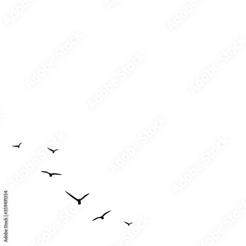 vector background with flying birds on the right side. © Ne Mariya