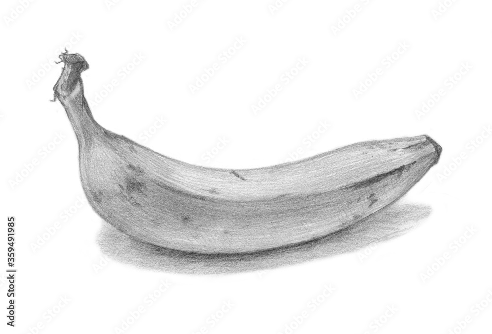 Banana pencil sketch on white background. Shaded black and white Stock