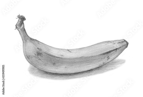 Banana pencil sketch on white background. Shaded black and white photo