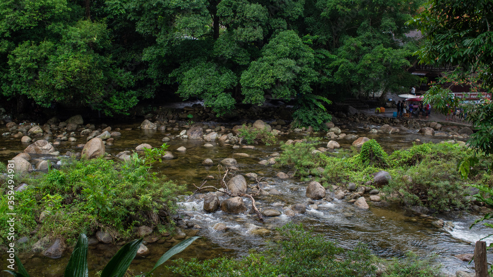 The location is the best weather and upstream forest. Beautiful green tree and clean stream The location is the best weather and upstream forest. Beautiful green tree and clean stream