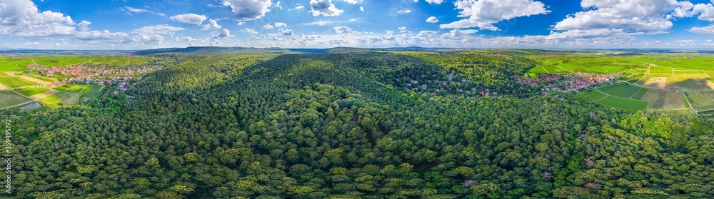pfälzer forest 360° skypano
