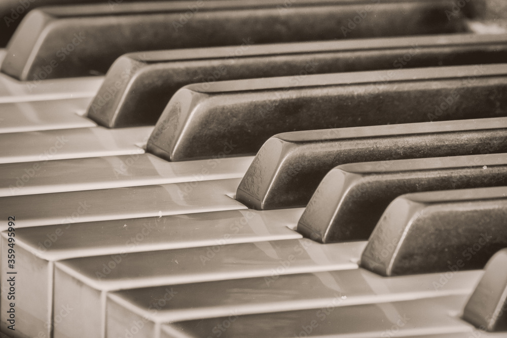 Ebony and Ivory Piano Keys at an Angle in Black and White Stock Photo Adobe Stock