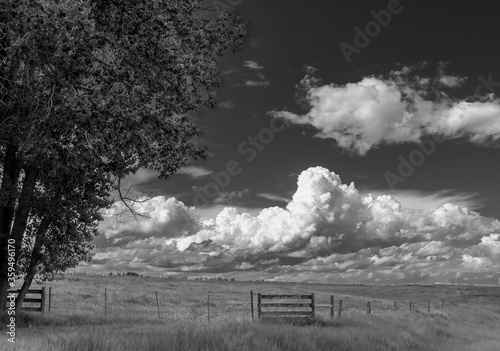 Clouds Over Spring Pasture photo