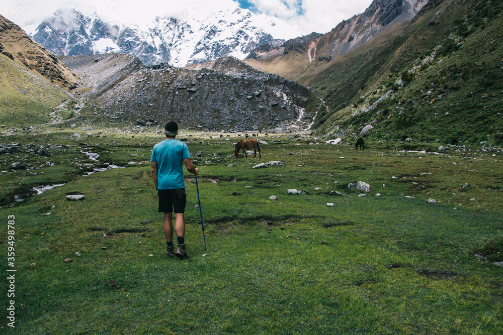 Back view of experienced male traveler with stick in hands admiring wilderness nature in beautiful Salkantay mountains.Young man hiker enjoying beautiful scenery of environment during trekking holiday