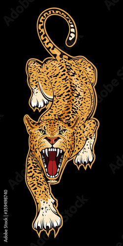 Vector illustration of a Jaguar. American tiger for tattoo or t-shirt  print. Panther illustration for a sport team. Vector  for  mascot, logo or symbol. Jaguar on black background Stock Vector |