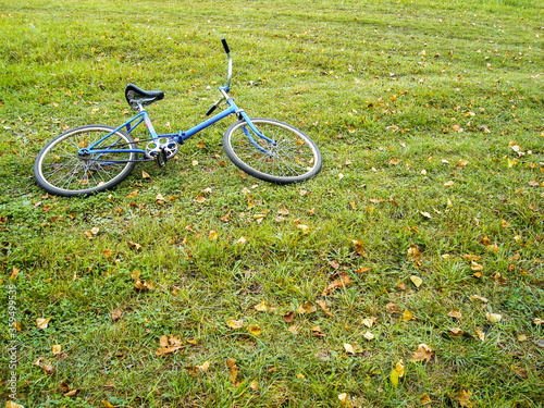 Slika na platnu Blue bicycle lie on summer-autumn feild on grass