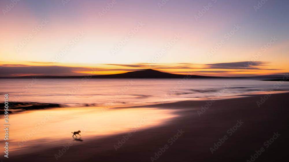 A small dog walking on the Milford beach at sunrise with Rangitoto island in the distance. Image made using intentional camera movement technique. A small dog walking on the Milford beach at sunrise with Rangitoto island in the distance. Image made using intentional camera movement technique.