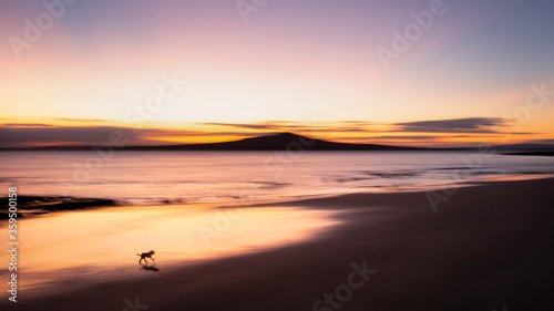 A small dog walking on the Milford beach at sunrise with Rangitoto island in the distance. Image made using intentional camera movement technique.