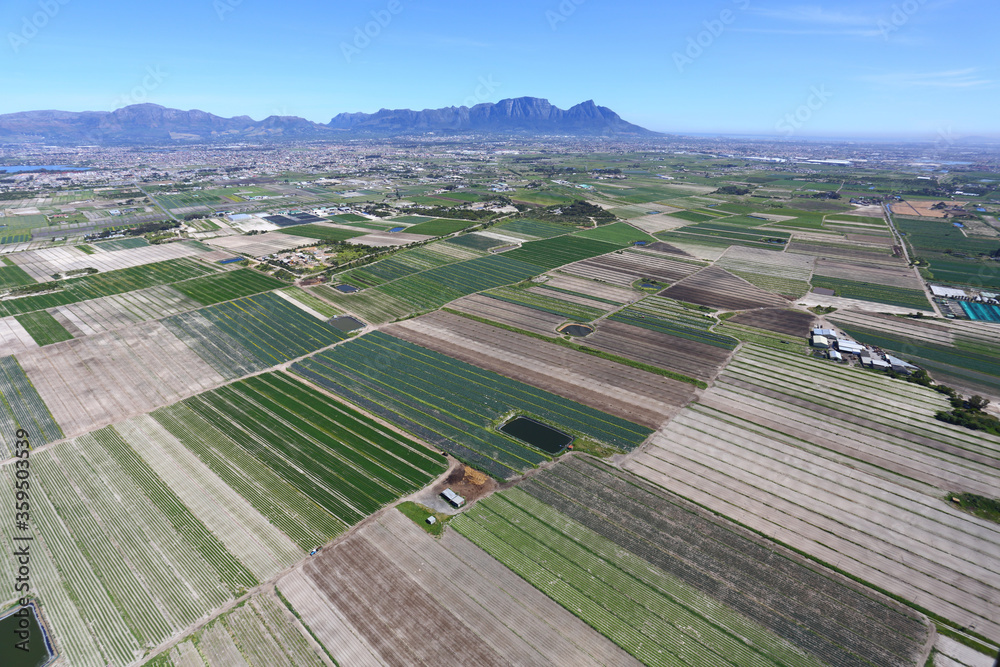 Cape Town, Western Cape / South Africa - 10/03/2016: Aerial photo of Philippi Horticultural Area with Table Mountain in the background
