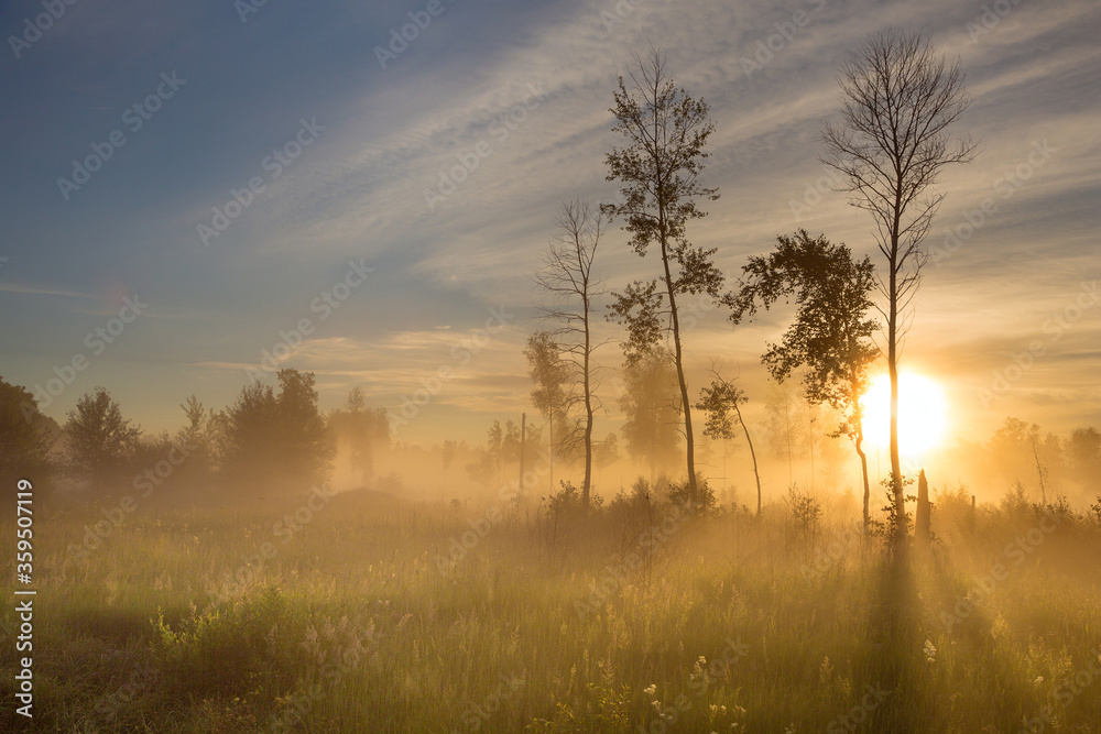 Sunrise in the foggy forest, Altai, Russia Sunrise in the foggy forest, Altai, Russia