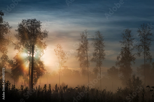 Sunrise in the foggy forest  Altai  Russia