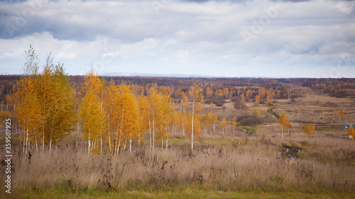 Autumn panorama