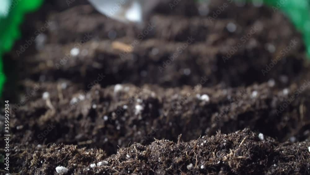 close-up planting seeds in the soil with fertilizer close-up planting seeds in the soil with fertilizer