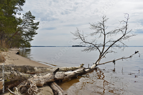 panorama of the Volga River in spring photo