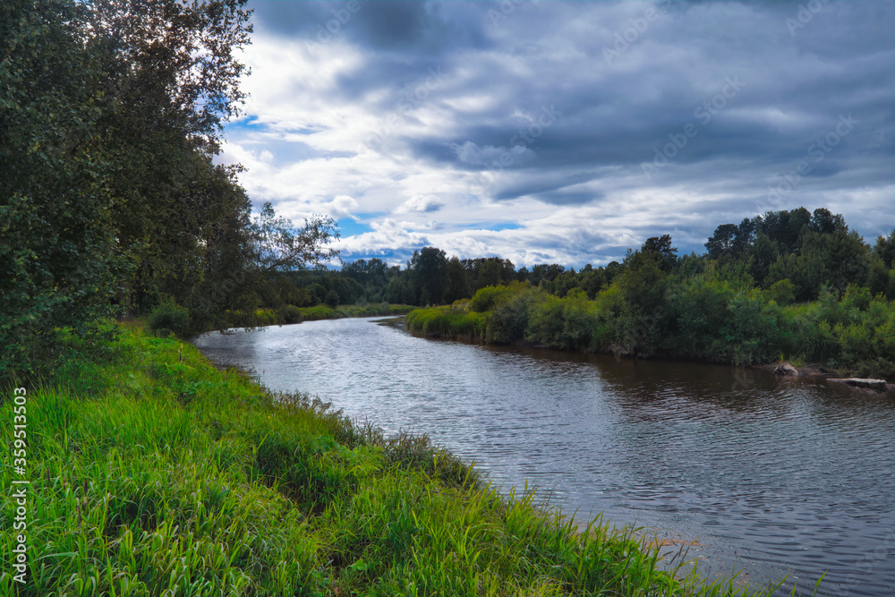 Beautiful summer landscape, forest trees are reflected in calm river water against a background of blue sky and white clouds.