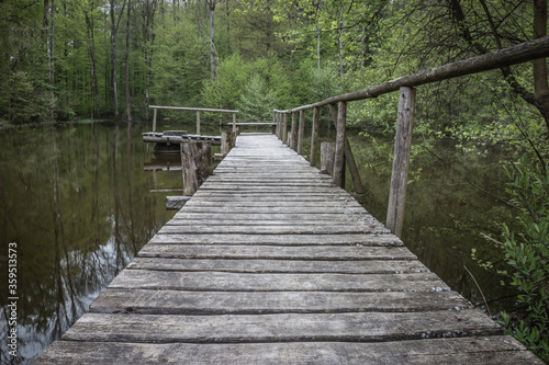 Fototapeta Naklejka Na Ścianę i Meble -  wooden bridge in the woods