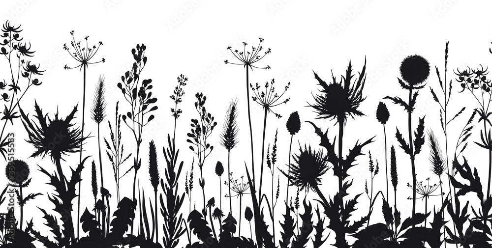 Seamless horizontal banner with wild flowers and thistle silhouettes. - obrazy, fototapety, plakaty 