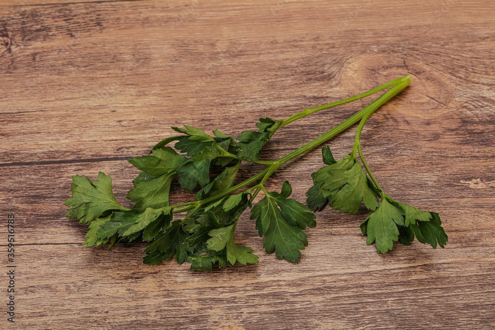Green fresh parsley branch herb Green fresh parsley branch herb