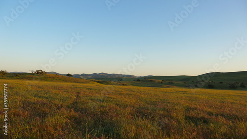 Rolling Wild Flower Covered Hills and Plains in San Luis Obispo in Golden Hour © Charles