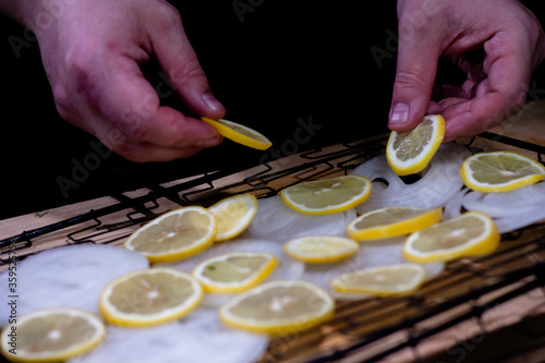 sliced onion and lemon rings. cooking on the grill