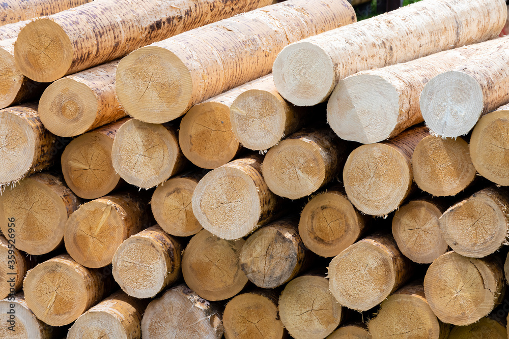 woodworking industry in Alps, Italy woodworking industry in Alps, Italy