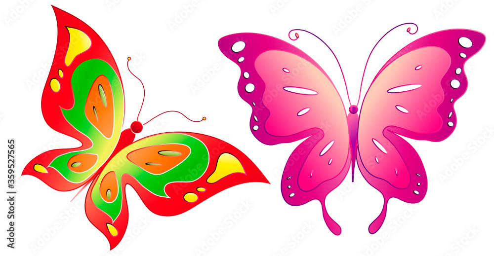 butterfly671 butterfly671