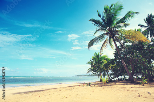 Caribbean sea and palm trees. Travel background.