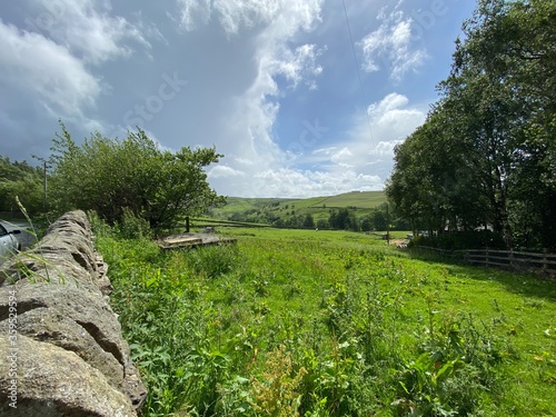 Overgrown field, with a dry stone wall, and old trees near, Kildwick, Keighley, UK photo