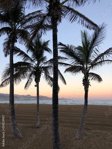 Four palmtrees during sunrise at Las Canteras beach