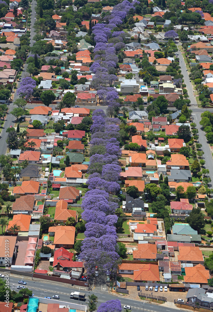 Fototapeta premium Johannesburg, Gauteng / South Africa - 10/30/2013: Aerial photo of jacaranda lined streets