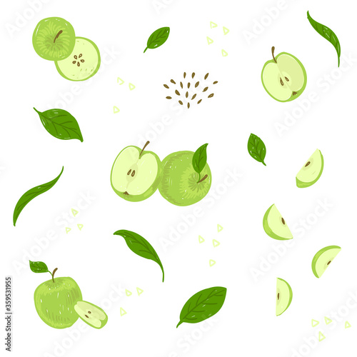 Green Apple drawing set. Whole apple, apple's side, stem end, interior, leaves, seeds, half apple vector illustration pattern