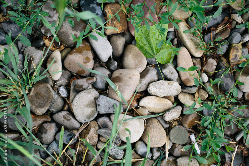 Many small stones. Beach with stones and green grass. Pebble stones. 