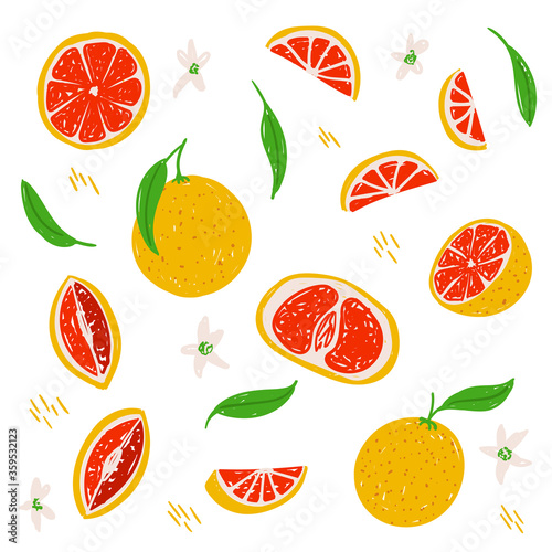 Fototapeta Naklejka Na Ścianę i Meble -  Grapefruit vector illustration set. Whole grapefruit, half, section, cut, sliced, flower, leaf isolated on white background. Grapefruit collection template