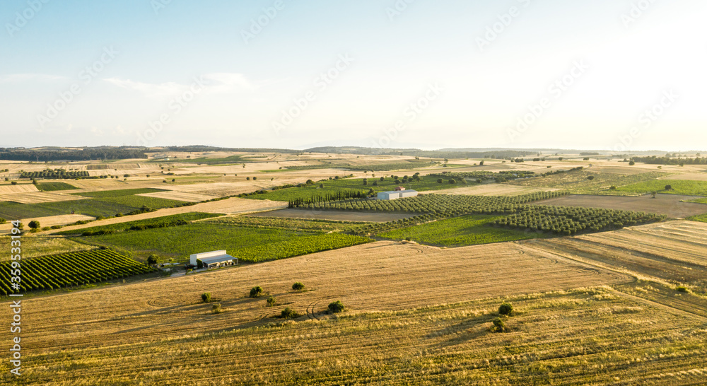 Aerial view at agricultural fields at sunset