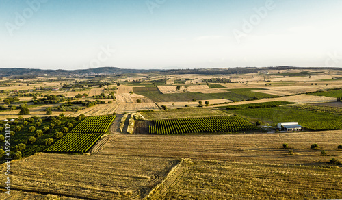 Aerial view at agricultural fields at sunset photo