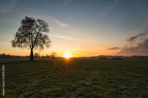 Romantischer Sonnenaufgang über einem Feld mit Baum
