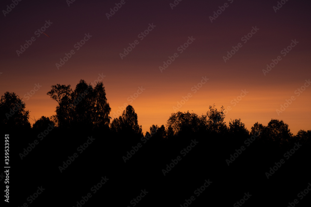 Multi-colored sunrise. Soft light of sunrise on a silhouette forest background.