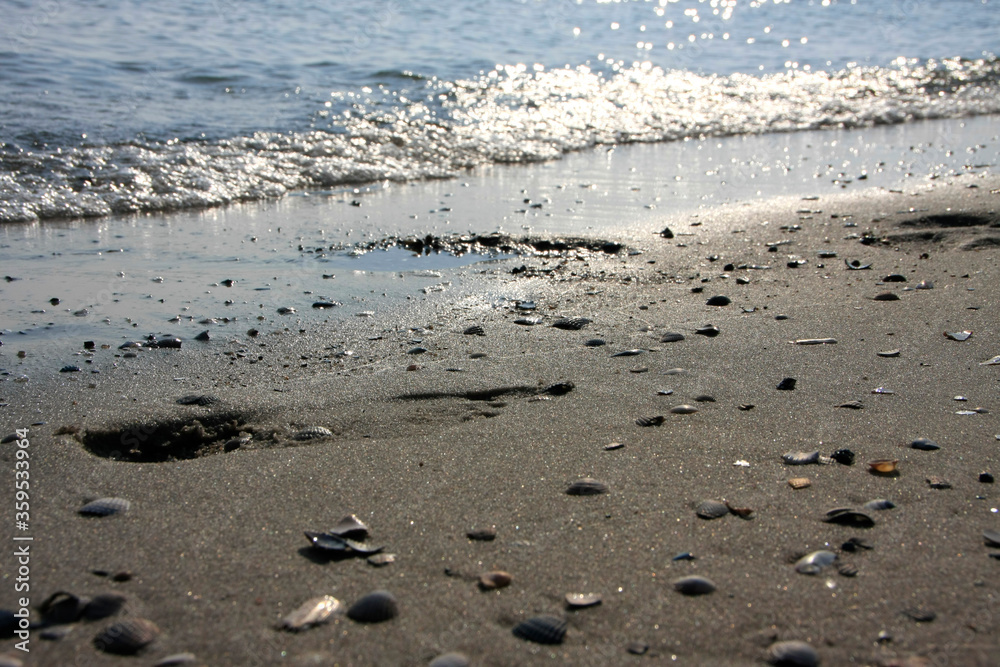 Footprints in the sand, Fohr Island, UNESCO World Heritage Site Wattenmeer, Germany, Europe Footprints in the sand, Fohr Island, UNESCO World Heritage Site Wattenmeer, Germany, Europe