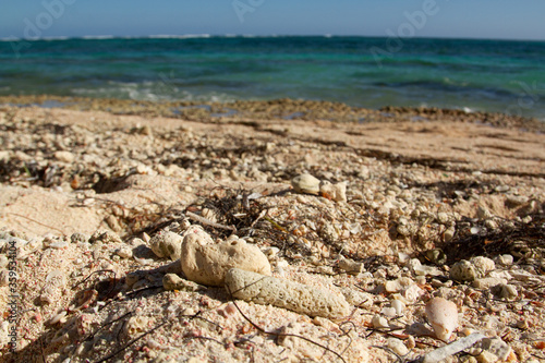 Dry white coral stones in the sand of the beach with white sand