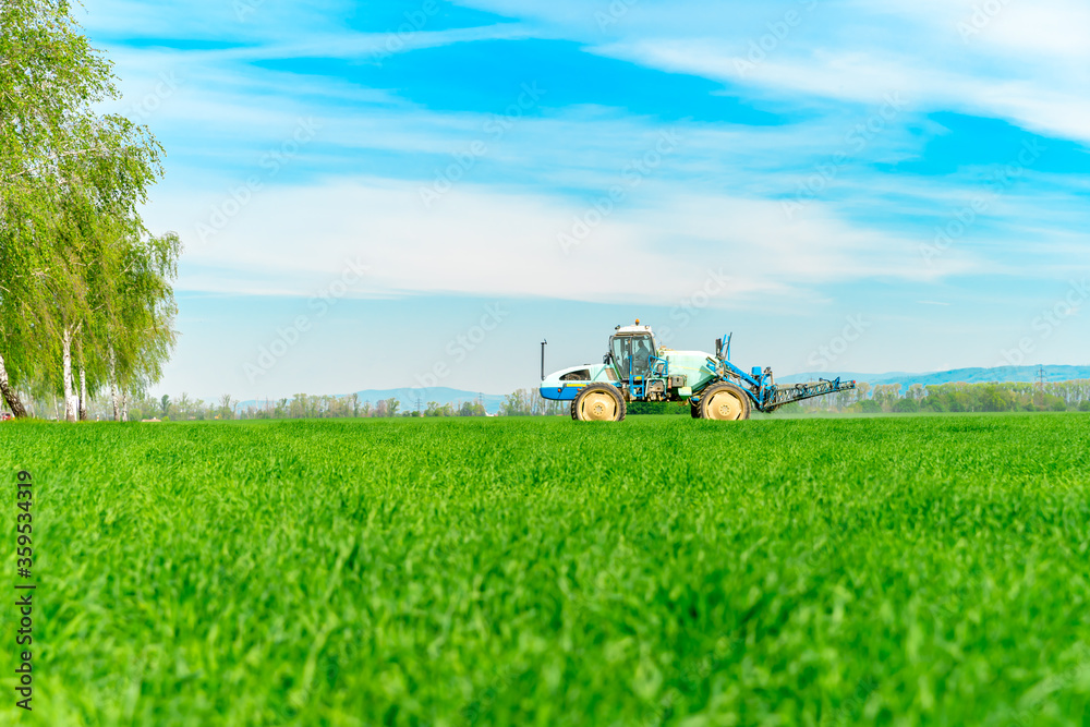 field with grass for cattle. Tractor fertilizing a field in the background, blurred. copy space