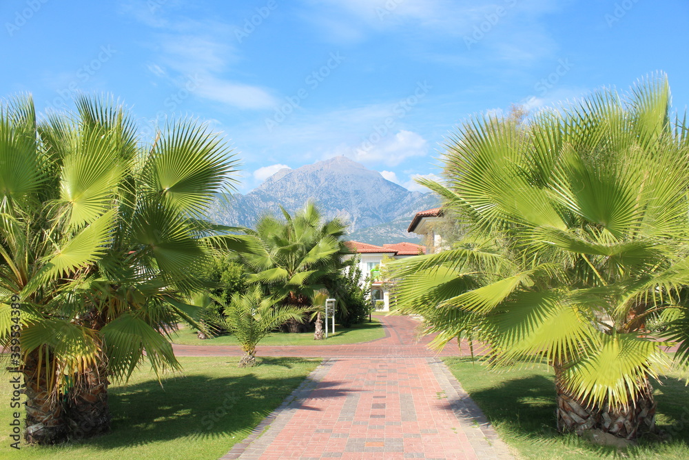 Fototapeta premium Garden with villa in front of mountain