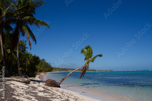 People taking the sun in a beach in a white sand beach with palm trees © Anónimo
