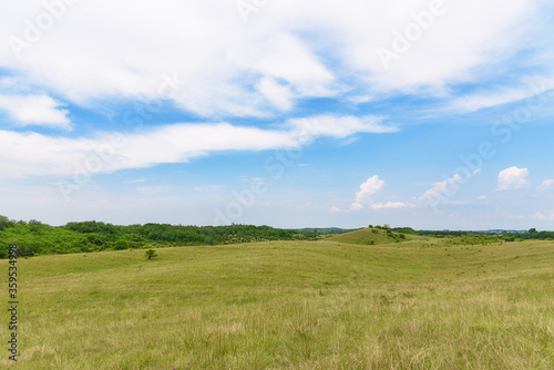 A field in the Deliblatska pescara in Serbia. Deliblato Sands is a large area covering around 300 km² of ground in Vojvodina province, Serbia. © nedomacki