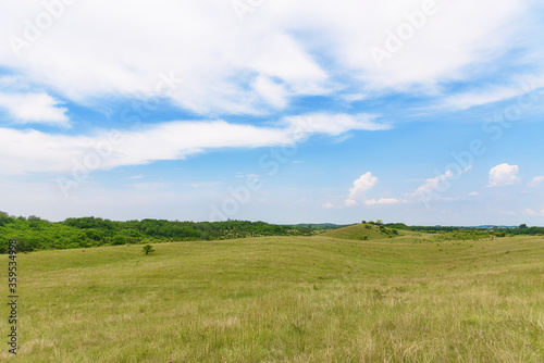 A field in the Deliblatska pescara in Serbia. Deliblato Sands is a large area covering around 300 km² of ground in Vojvodina province, Serbia.