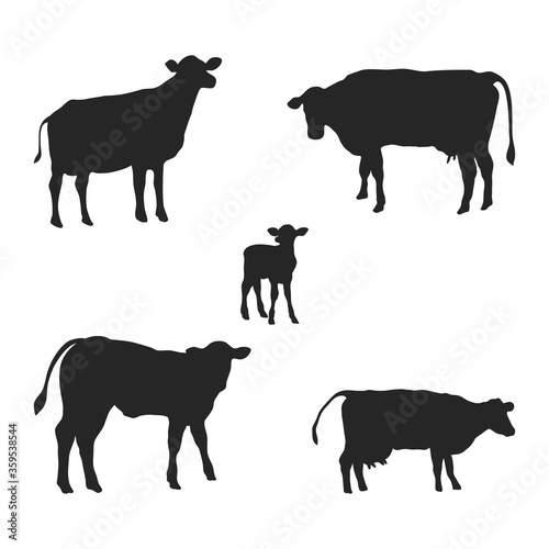 Set of cow silhouettes on white.